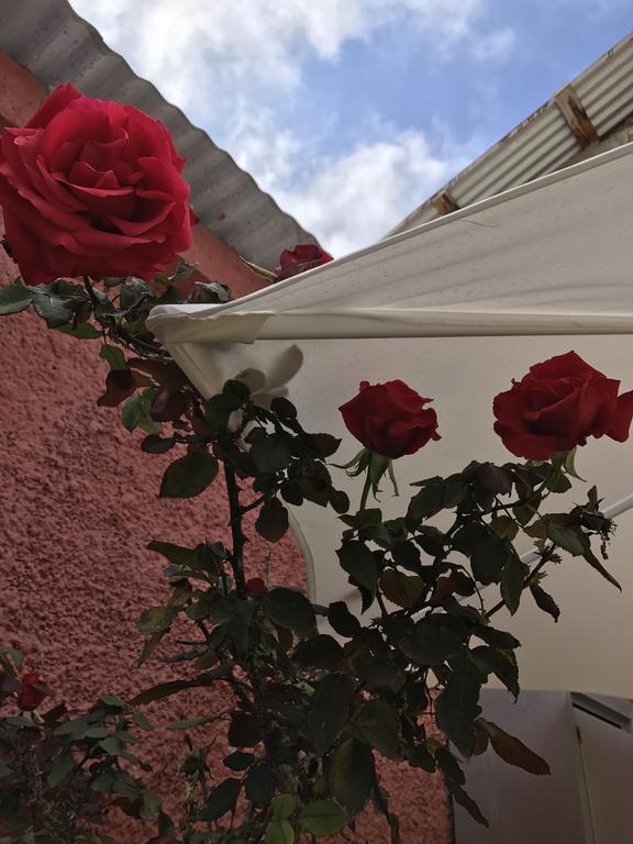 Hostal Avenue La Serena Luaran gambar