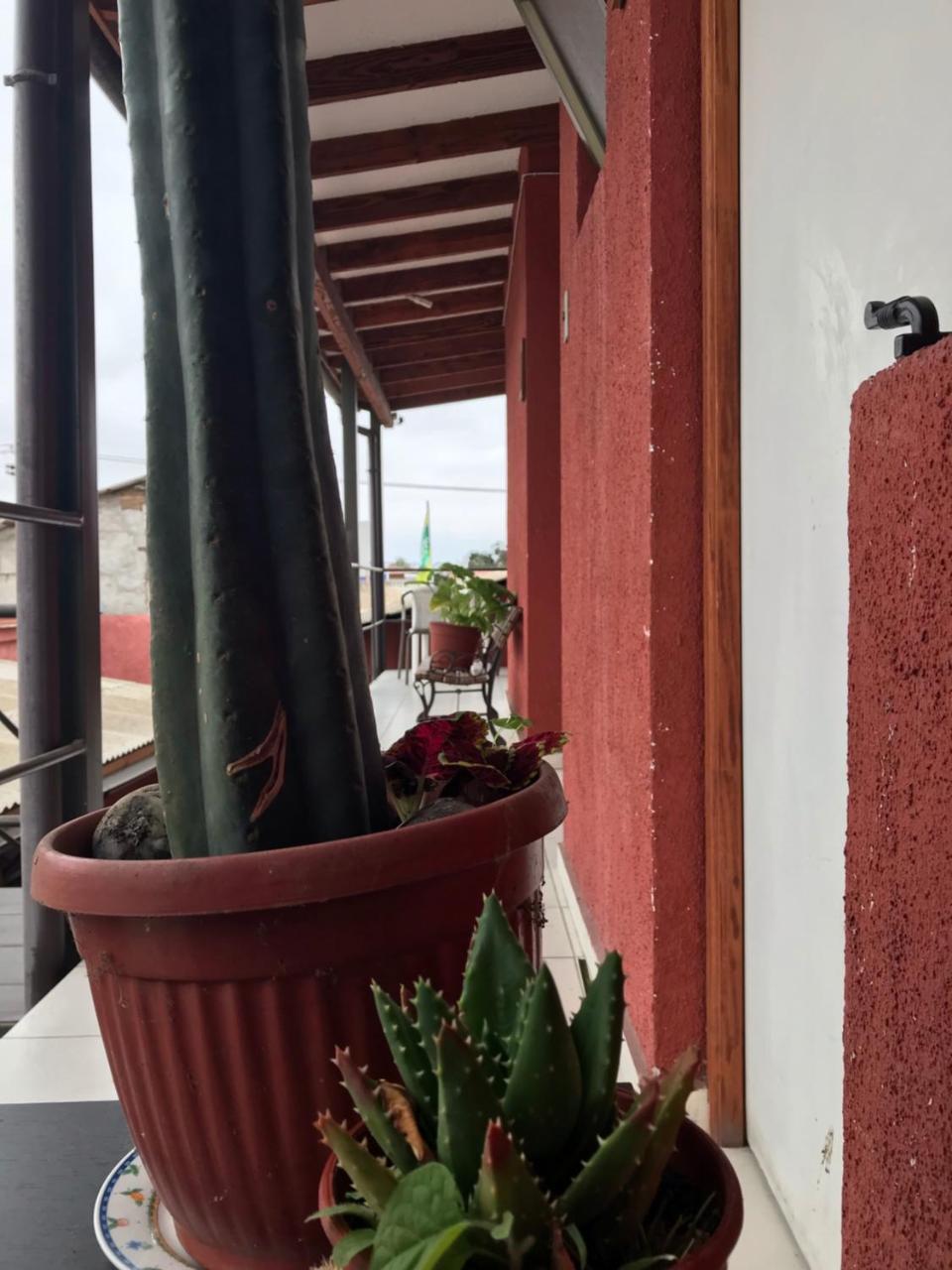 Hostal Avenue La Serena Luaran gambar
